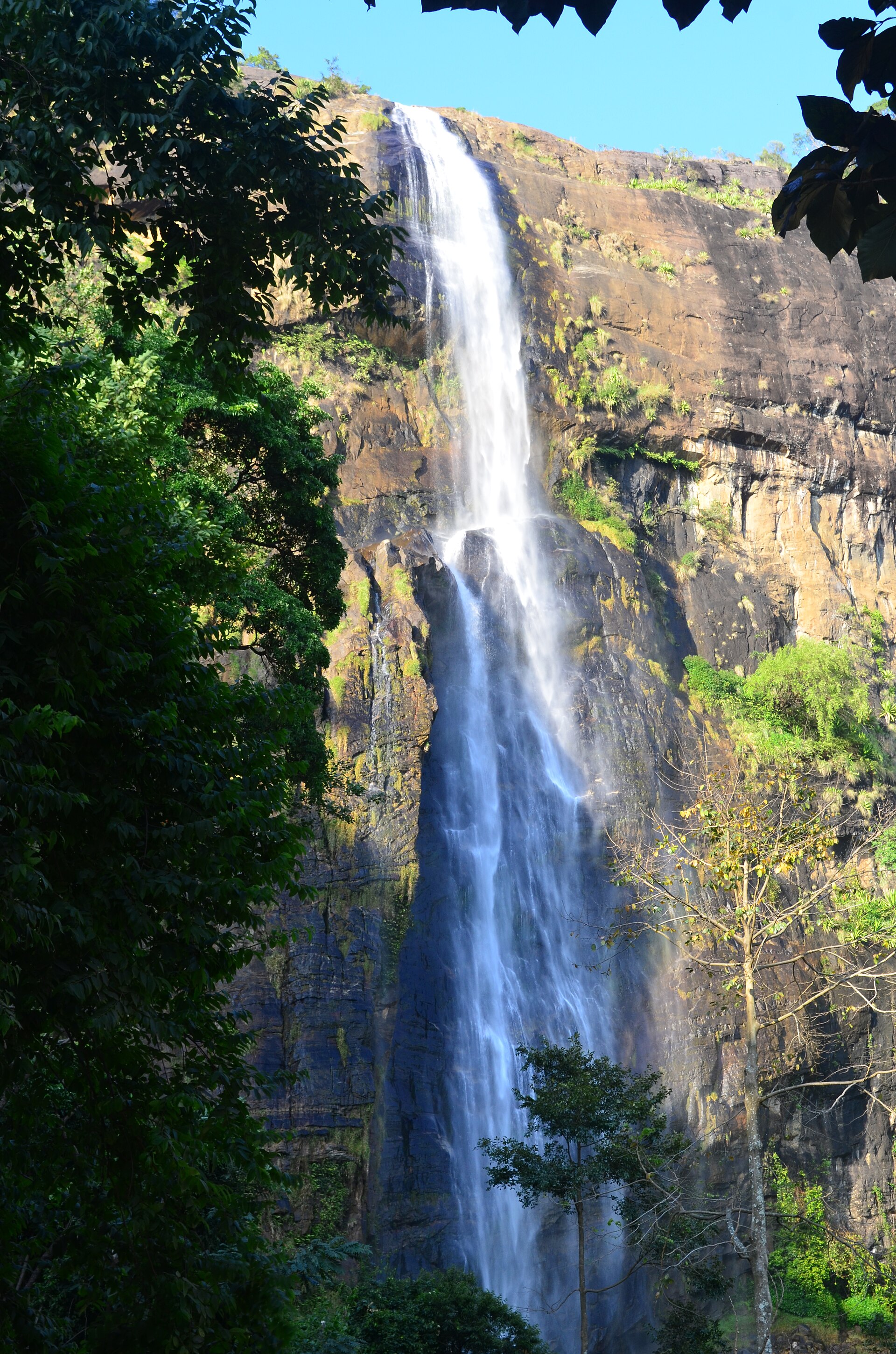 Diyaluma Falls in Sri Lanka's hill country